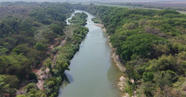 Guayalejo