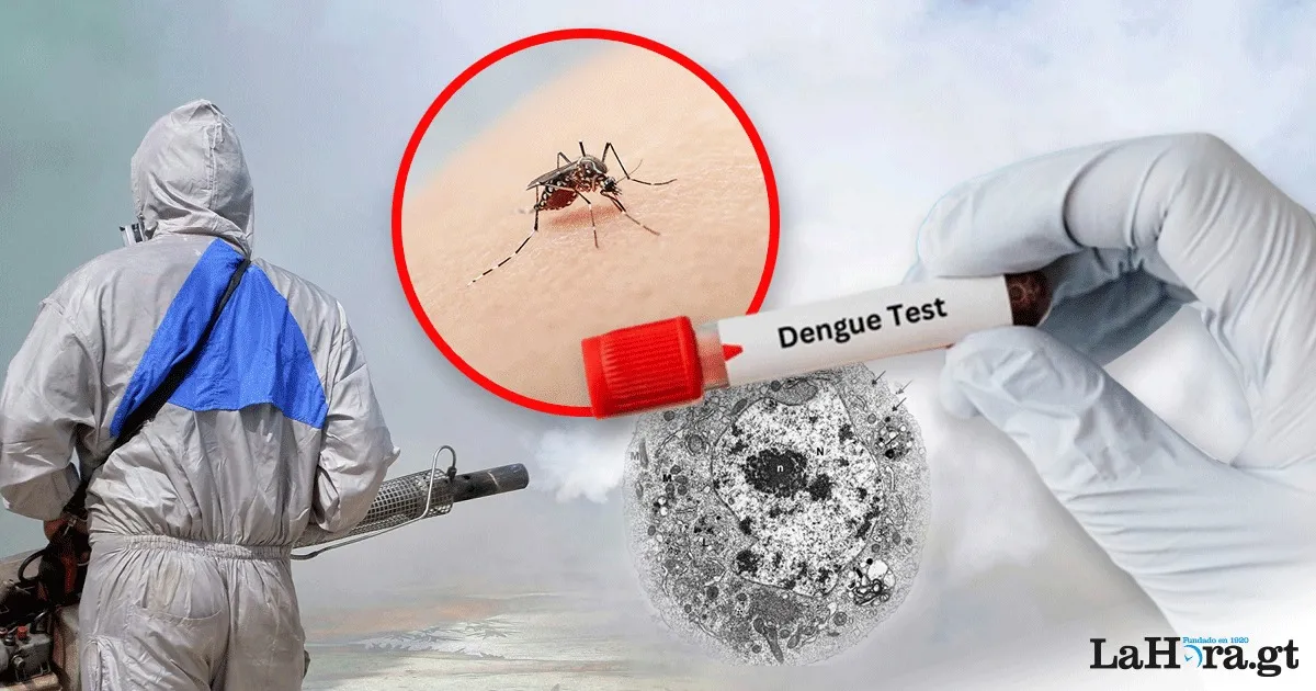 1 DENGUE