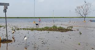 1 INUNDADO
