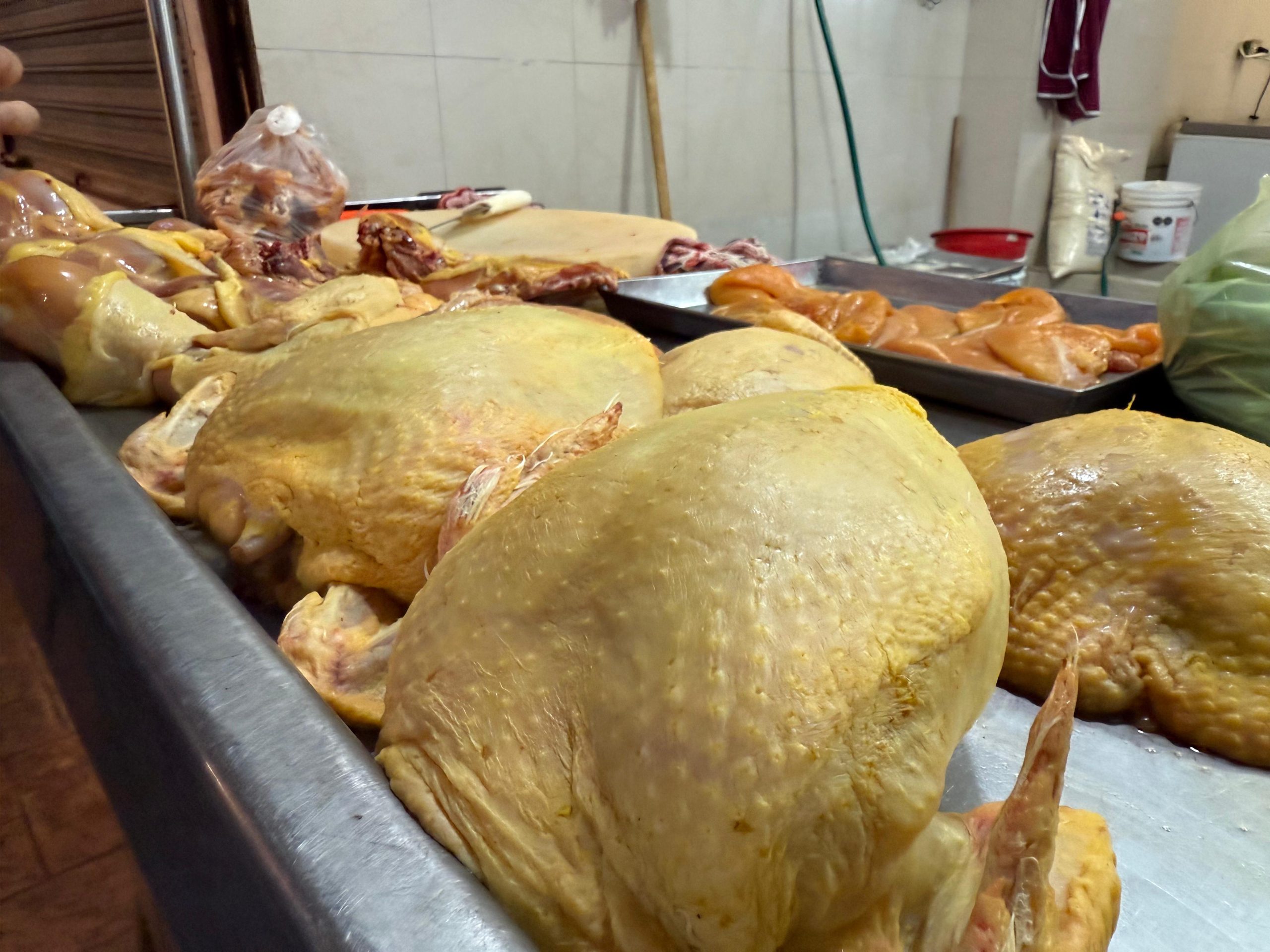 1 POLLO