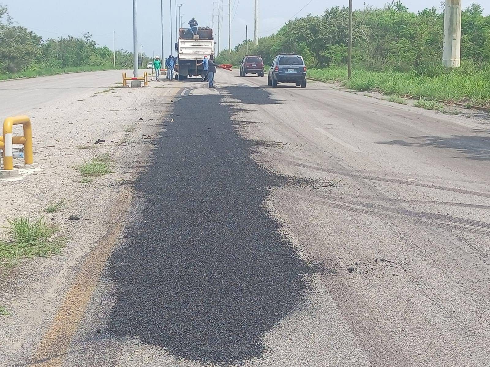 3 BACHEO