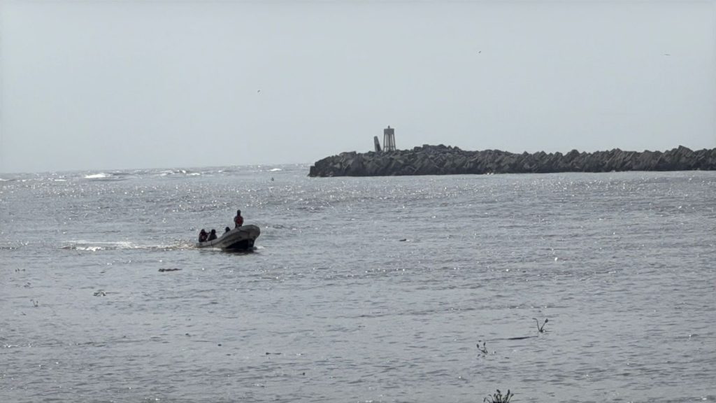 3 COCODRILO