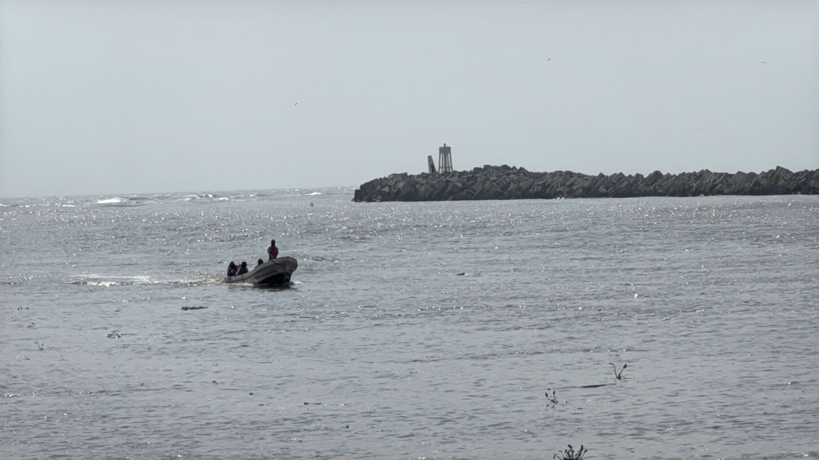 3 COCODRILO