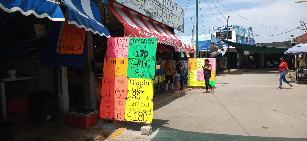 3 DENGUE