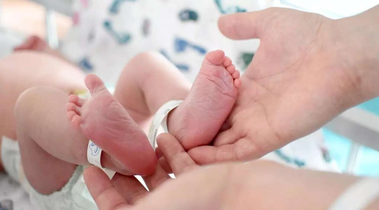 Bebés