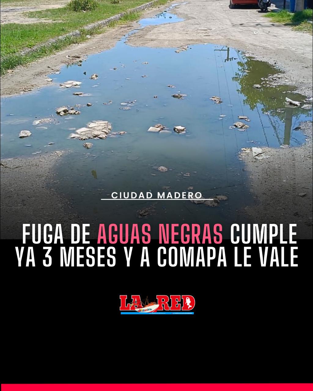 1 MADERO