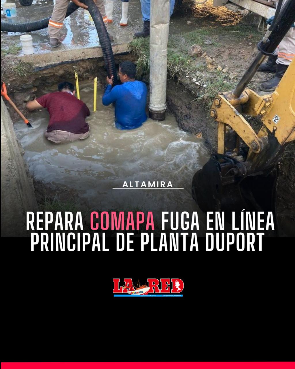 2 ALTAMIRA