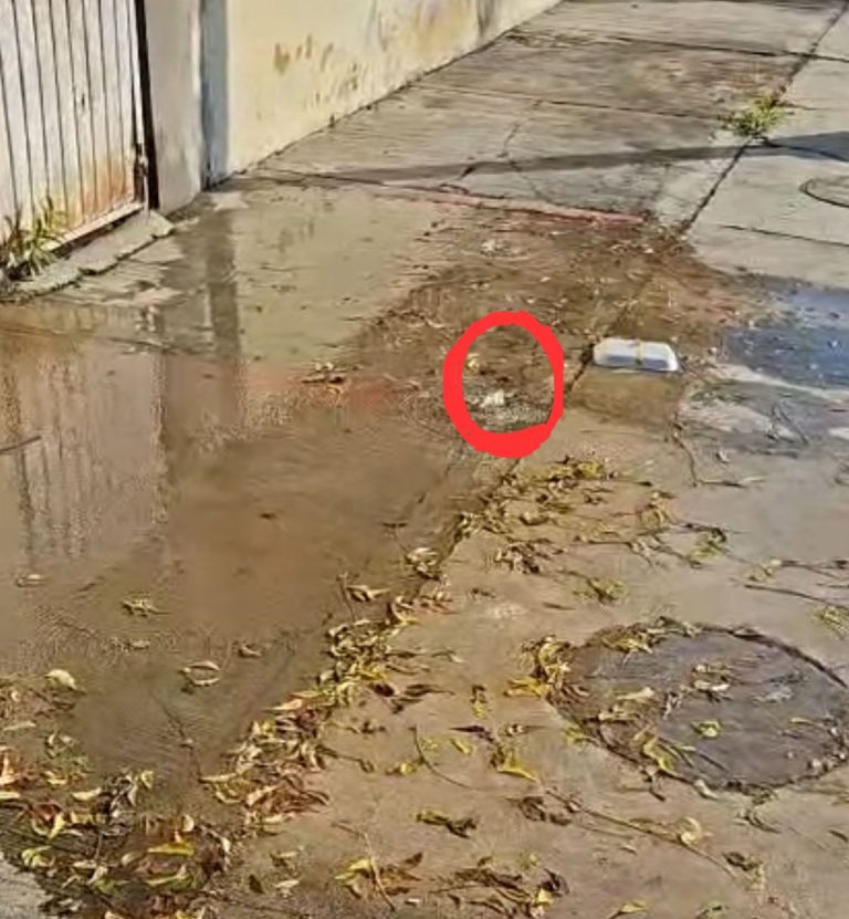 1 AGUAS