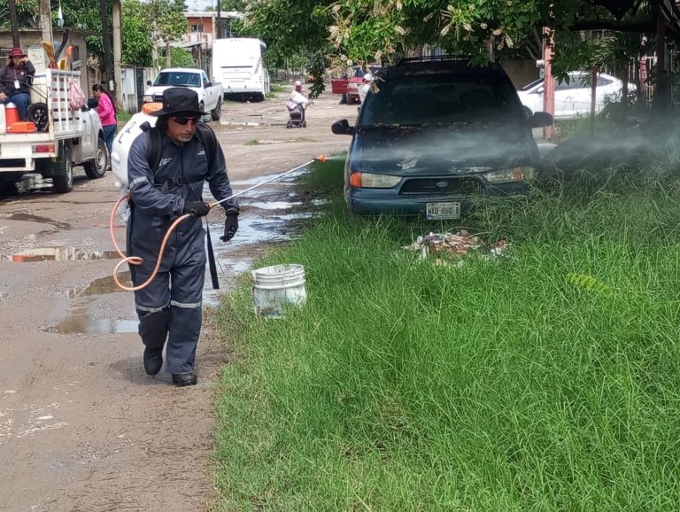 1 DENGUE