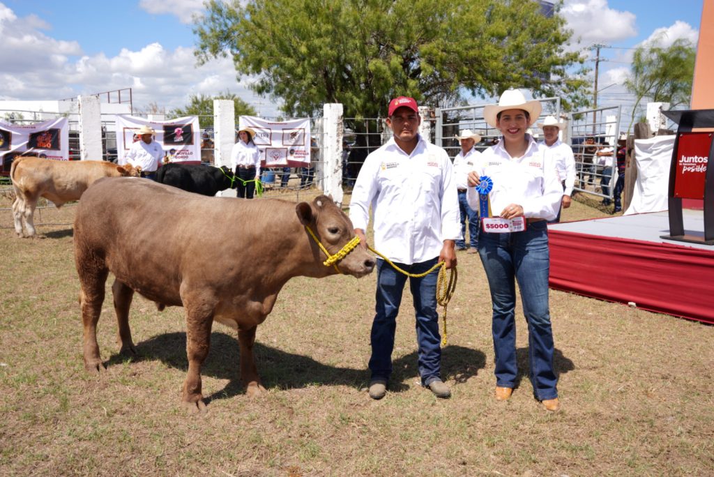 1 GANADO
