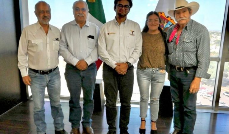 3 ORGANIZACION