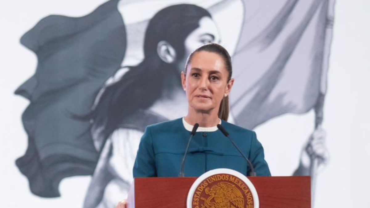 informe-sheinbuam