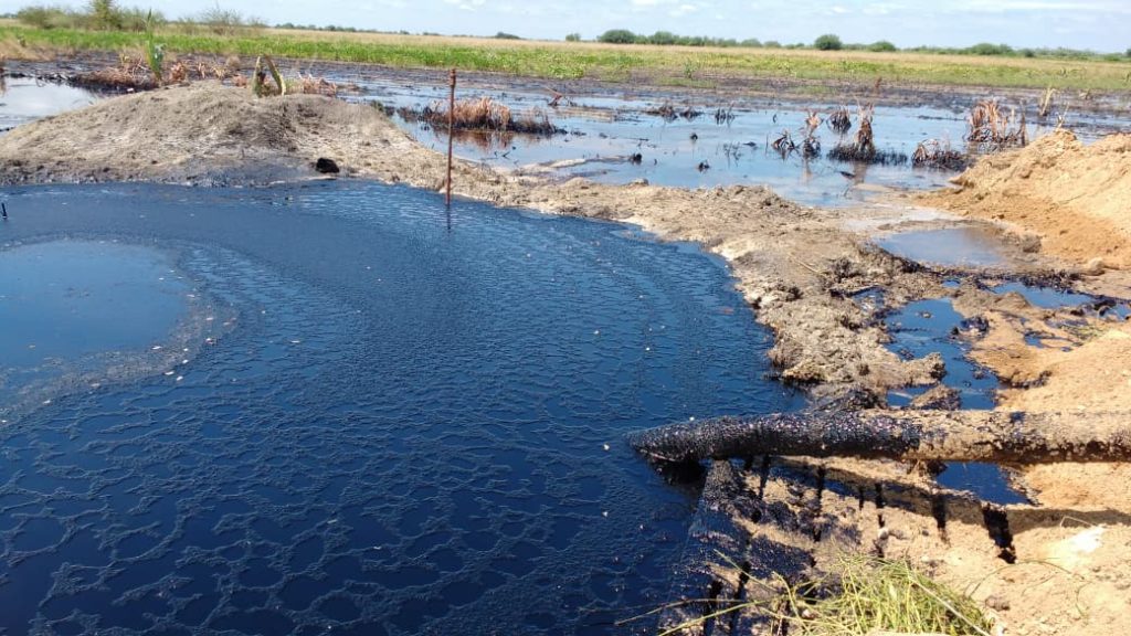 1 CONTAMINACIÓN