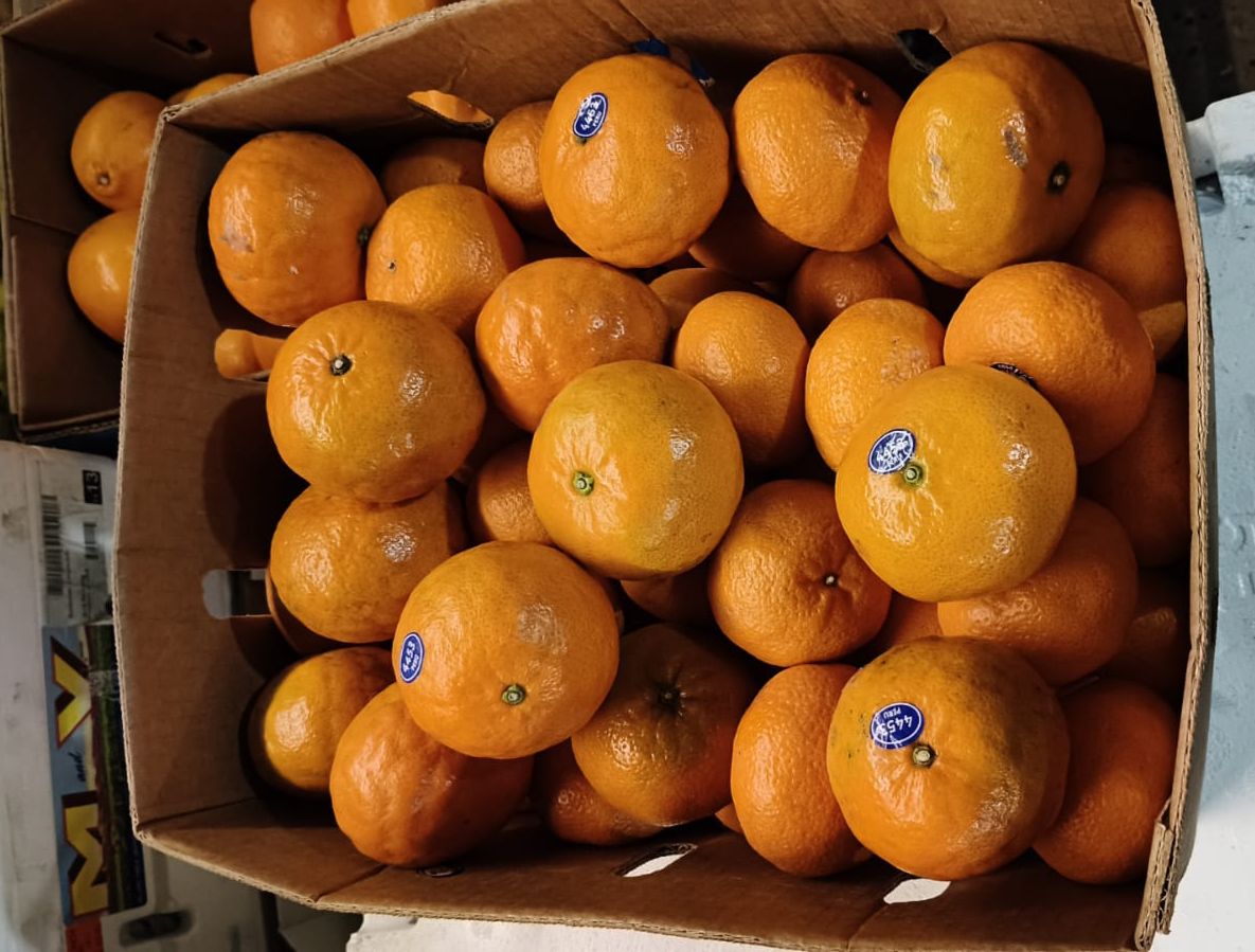 2 MANDARINAS