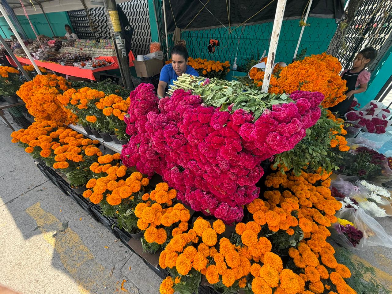 3 FLOR