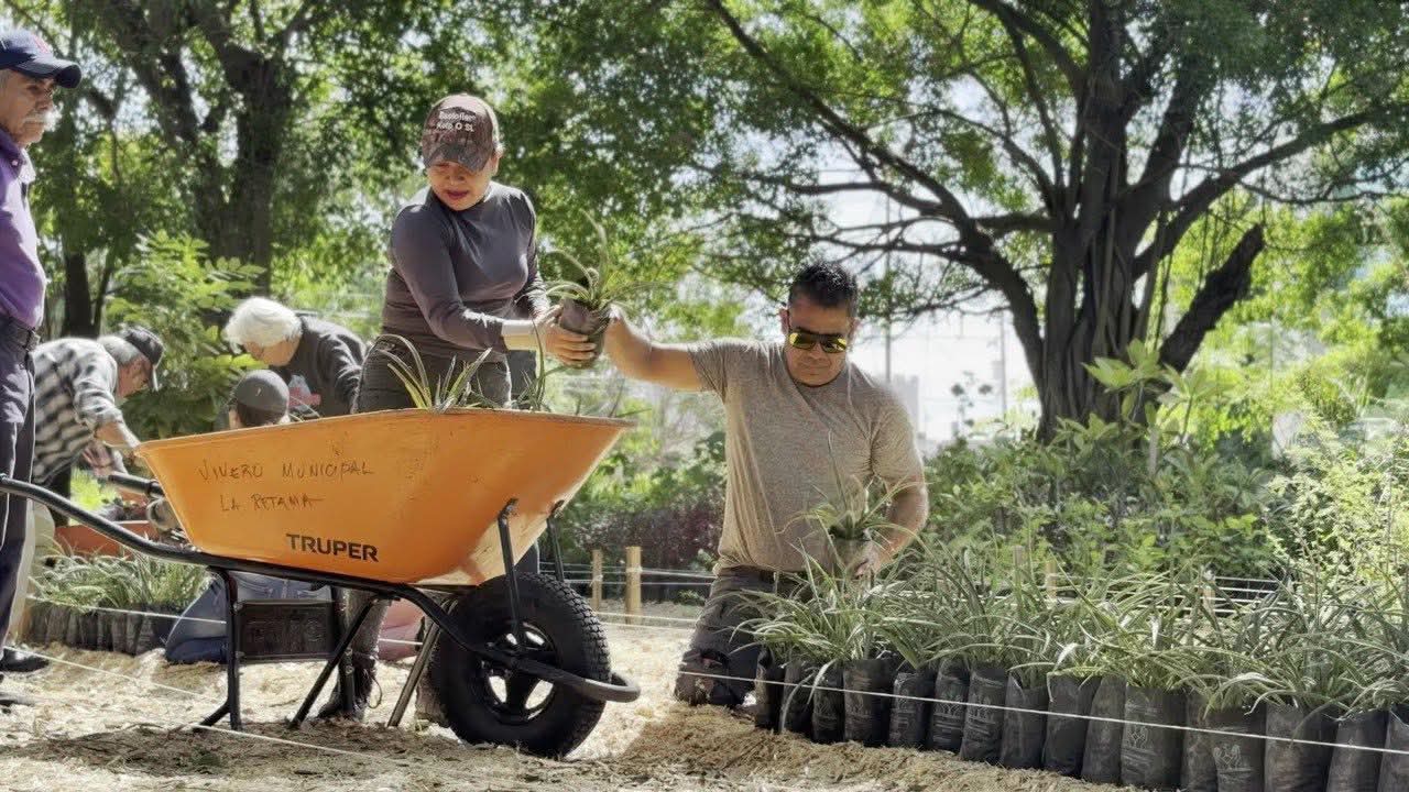 2 REFORESTACION
