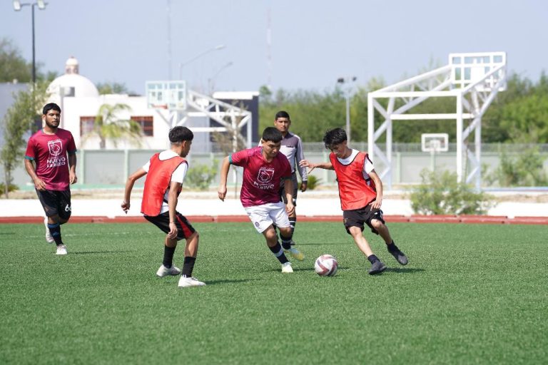 3 TORNEO