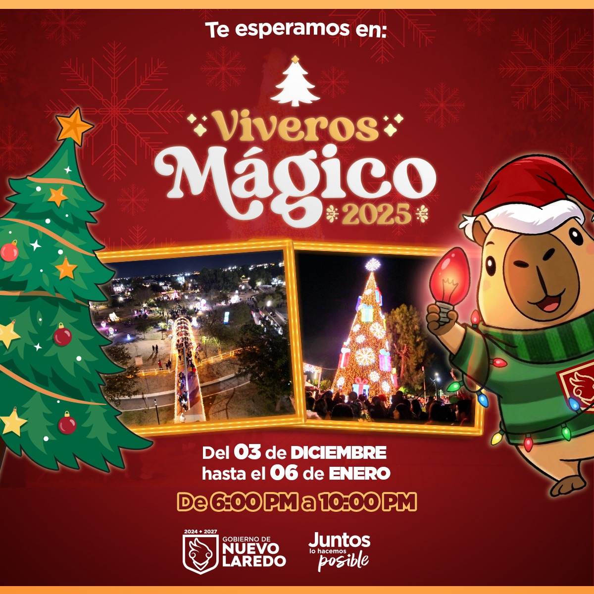 1 imagen