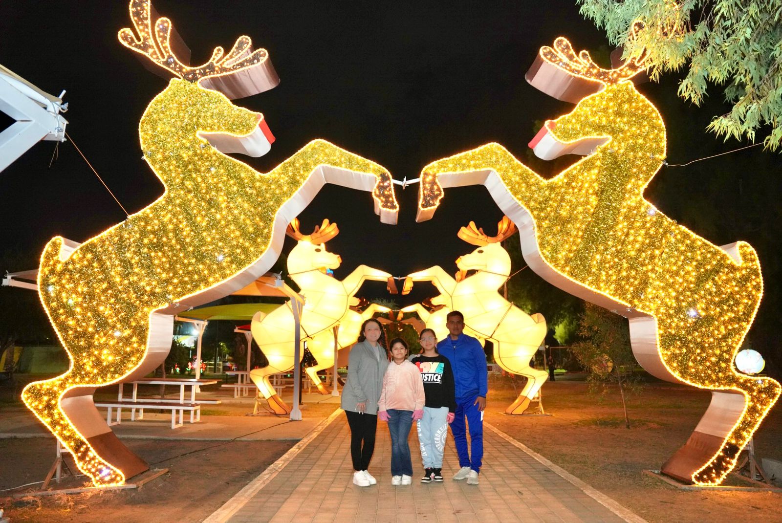 3 PARQUE