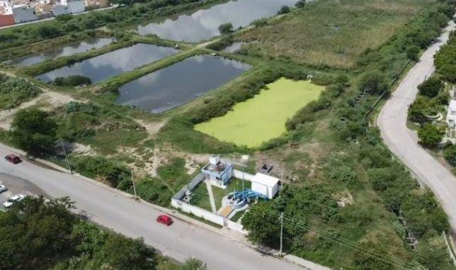 3 PLANTA