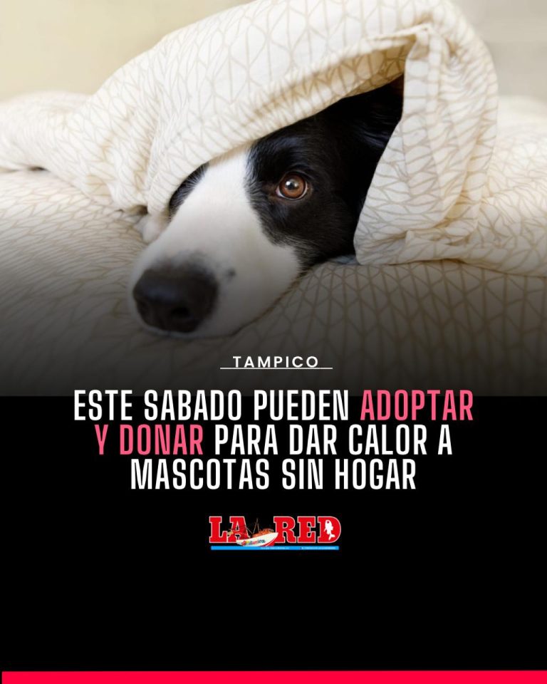 3 TAMPICO