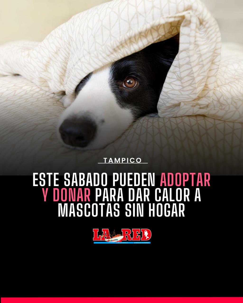 3 TAMPICO