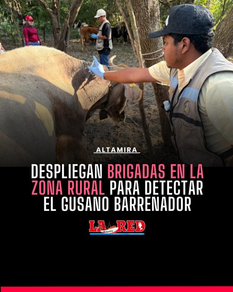 1 ALTAMIRA