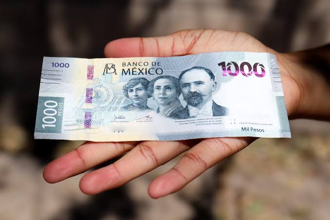 1 FALSOS