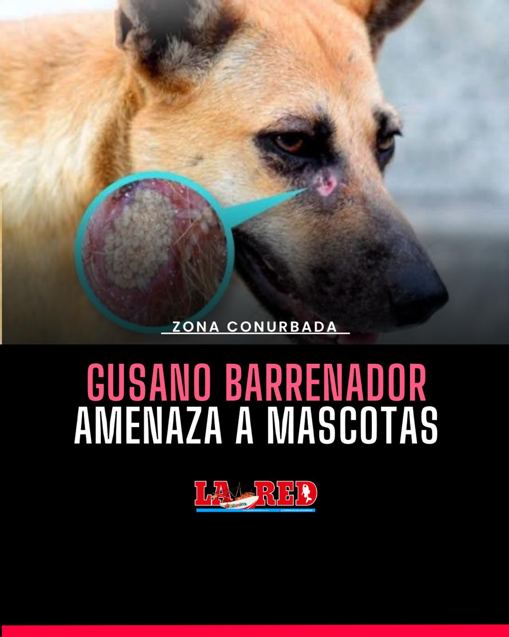 1 MADERO