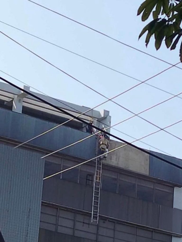 1 TELMEX