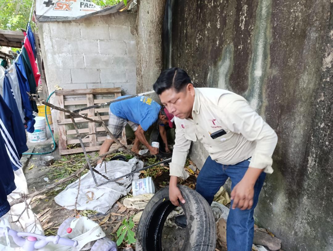 3 DENGUE