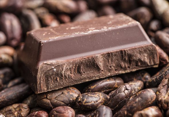 The dark chocolate and cocoa beans. Chocolate bars.
