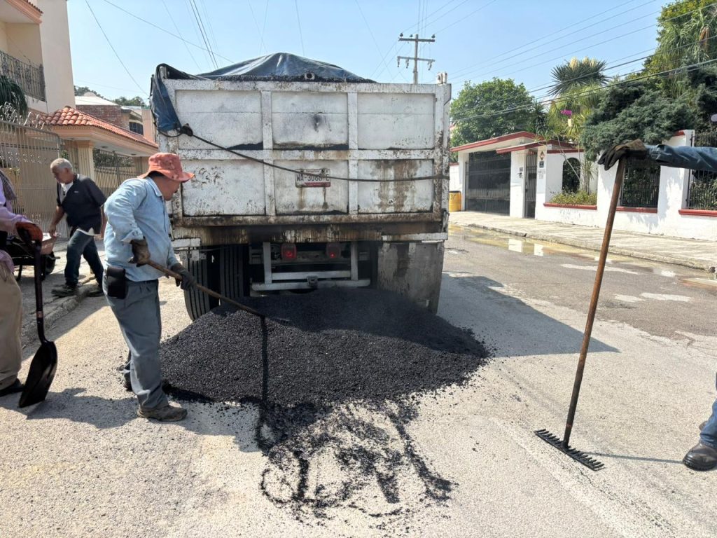1 BACHEO