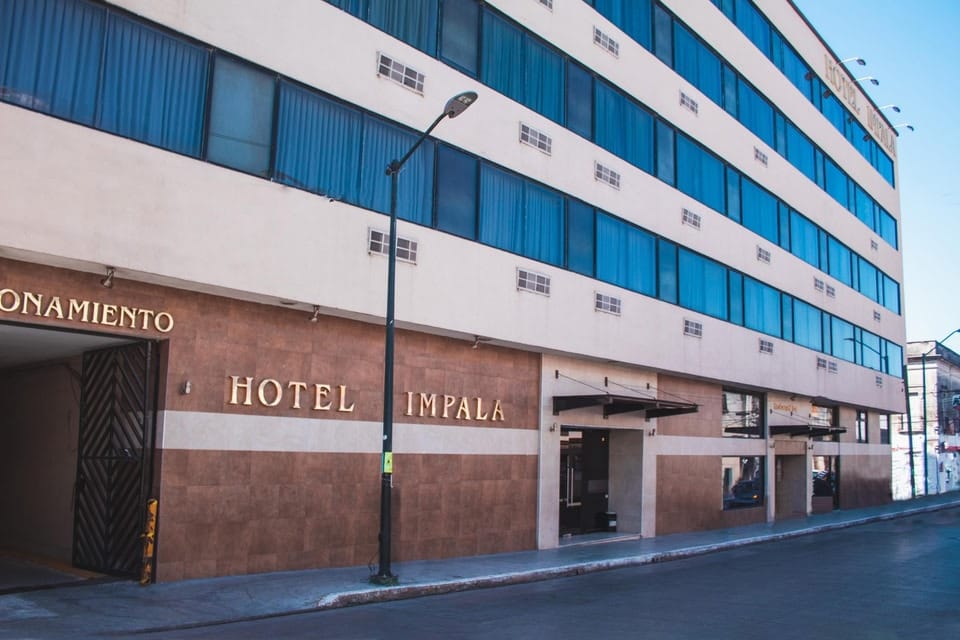 1 HOTELEROS