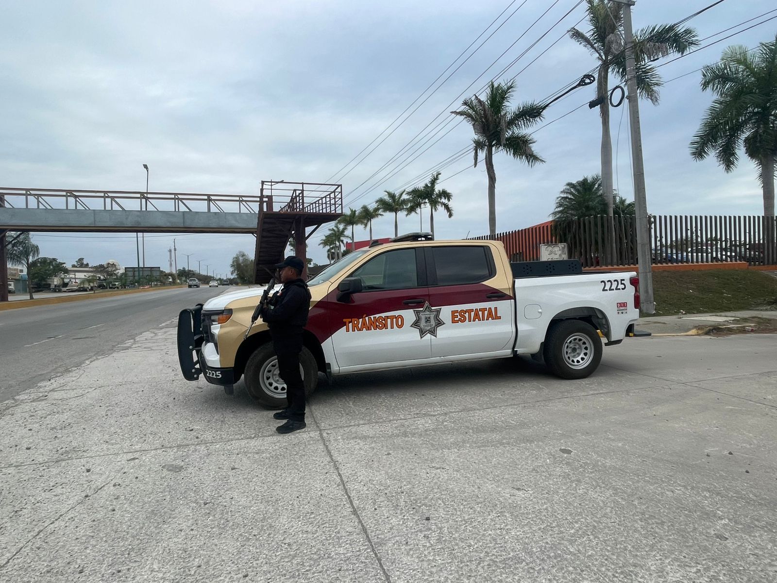 1 VIGILANCIA