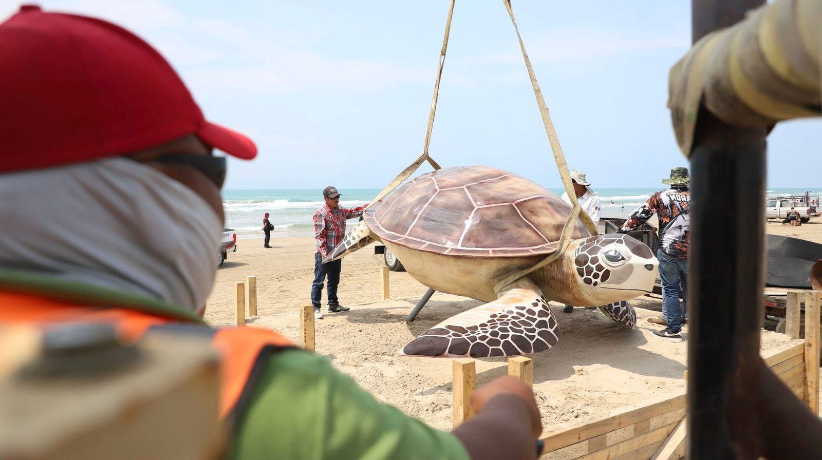 2 TORTUGA