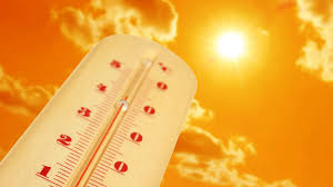 1 CALOR