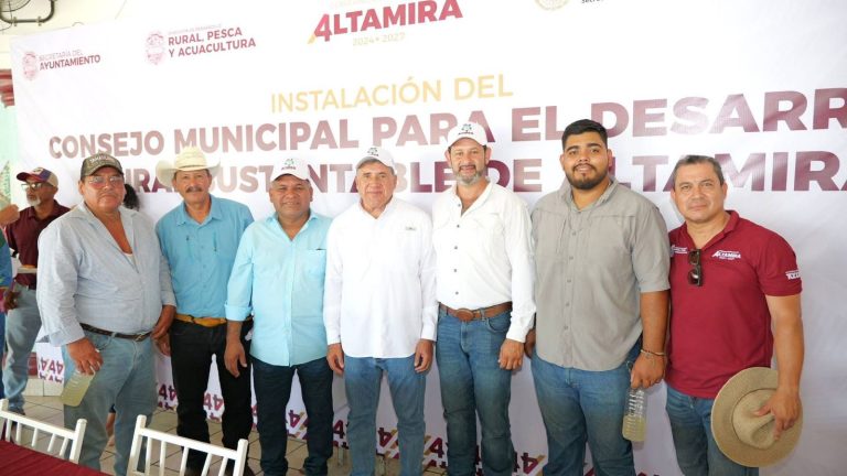 1 DESARROLLO