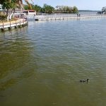 2 AGUA