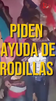 Captura de pantalla 2026-05-13 152412