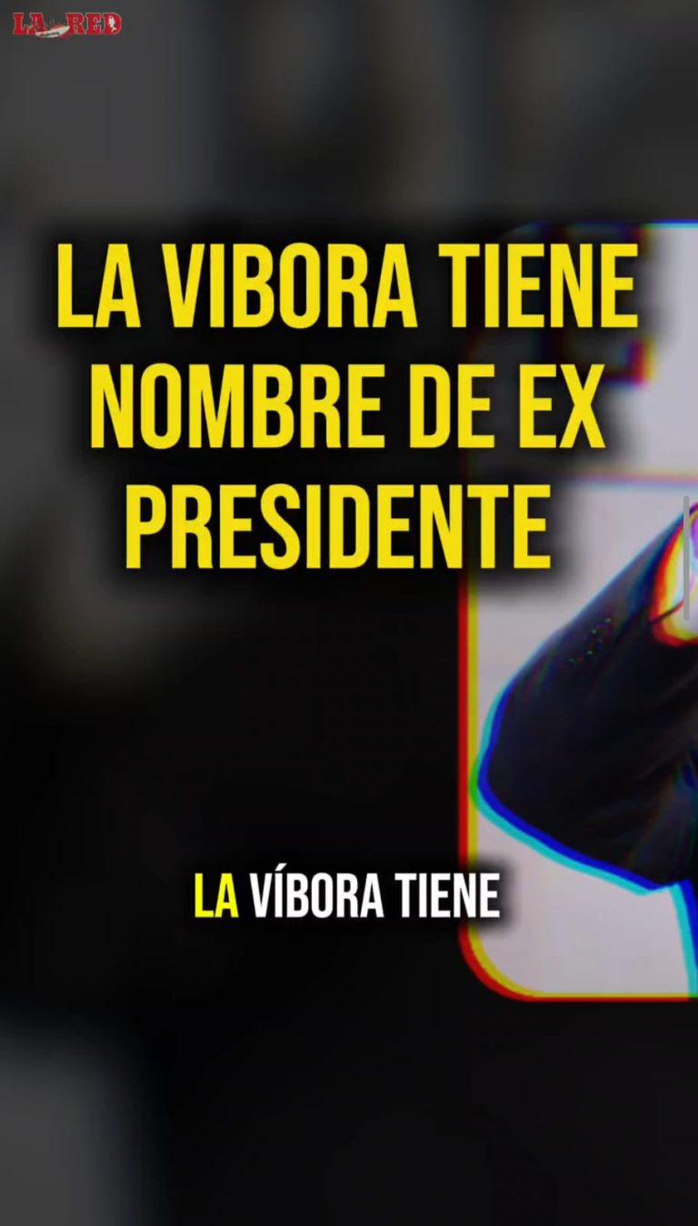 04ac29c8-ba4e-4d4d-ab65-346d0b53355fe