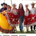 1 BAILES