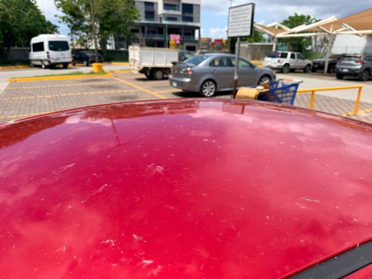 2 CENIZAS