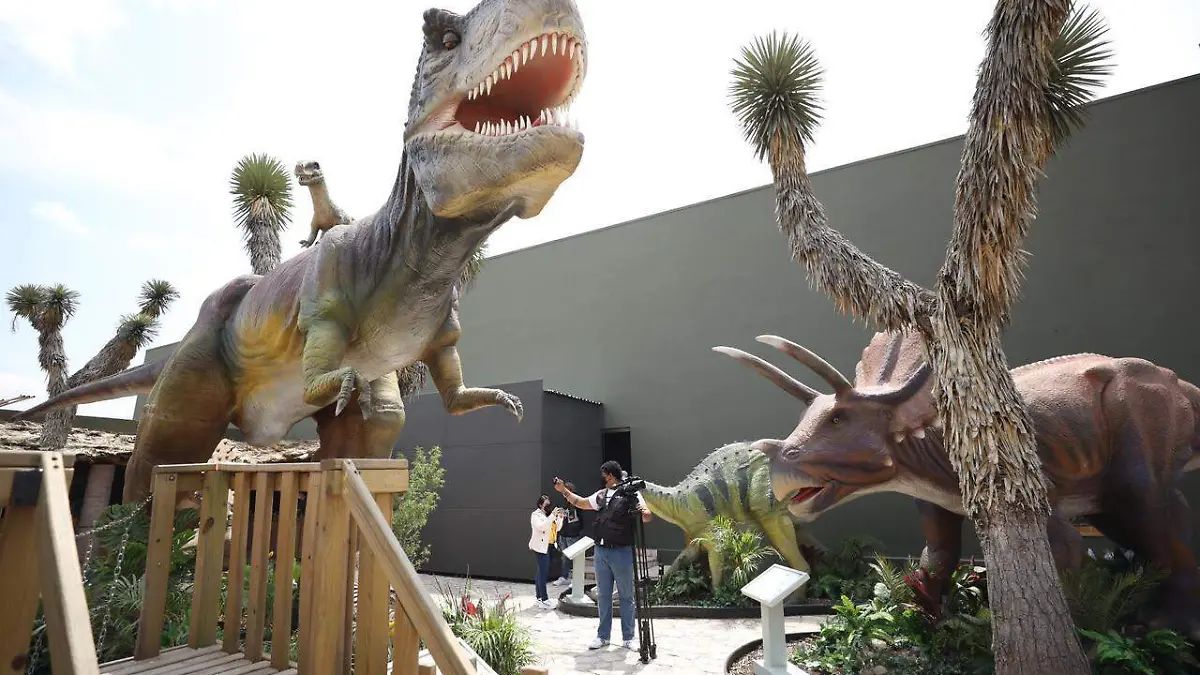 3 DINOFRONTERA