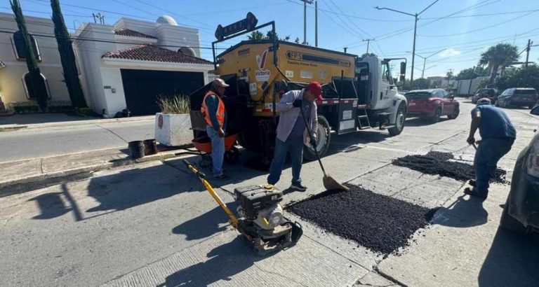 baches 2