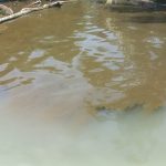 1 CONTAMINACION