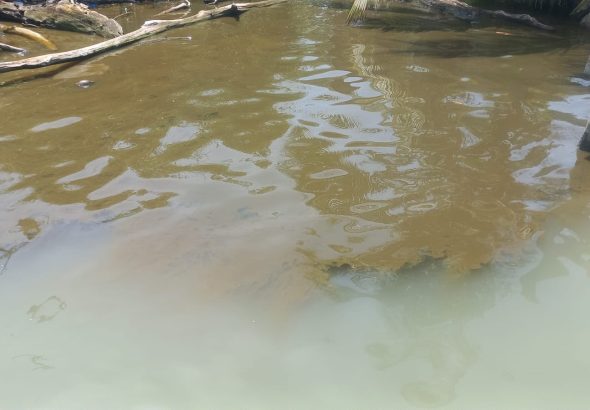 1 CONTAMINACION