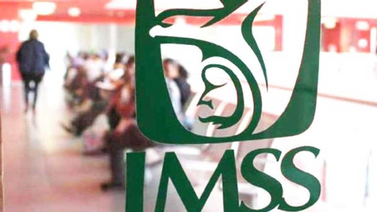 1 IMSS