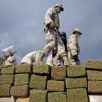 Mexican Army Incinerates Over 130 Tons Of Seized Marijuana