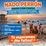 3 ANUNCIAN